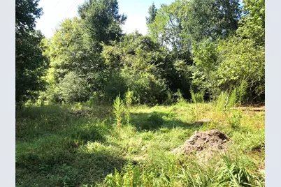 Tract 3.1 Sylvia Trail, Coldspring, TX 77331 - Photo 10