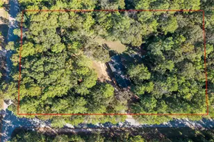 24795 Shady Oaks Blvd, Montgomery, TX 77316 - Photo 6