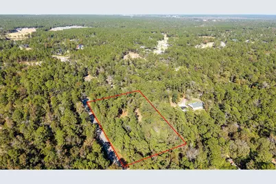 24795 Shady Oaks Boulevard, Montgomery, TX 77316 - Photo 8