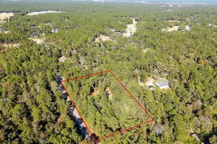 24795 Shady Oaks Blvd, Montgomery, TX 77316 - Photo 8