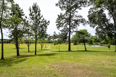 968 Oats Rd, Livingston, TX 77351 - Photo 26