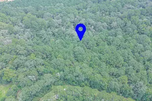 0 Peach Creek Dr, Conroe, TX 77303 - Photo 1