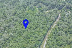 0 Peach Creek Dr, Conroe, TX 77303 - Photo 6