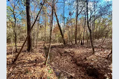 235 Private Road 6912, Colmesneil, TX 75938 - Photo 44
