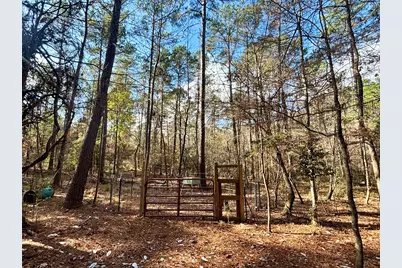 235 Private Road 6912, Colmesneil, TX 75938 - Photo 36