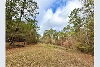 235 Private Road 6912, Colmesneil, TX 75938 - Photo 4