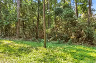 12865 Royal Forest Dr, Conroe, TX 77303 - Photo 2