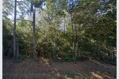 0 Kyle Road, Waller, TX 77484 - Photo 1