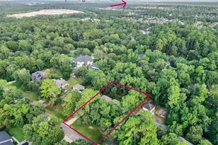2312 Carriage Run E, Conroe, TX 77384 - Photo 44