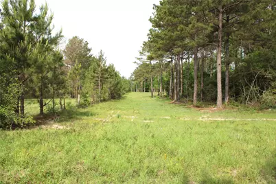 5300 State Highway 150, Coldspring, TX 77331 - Photo 4