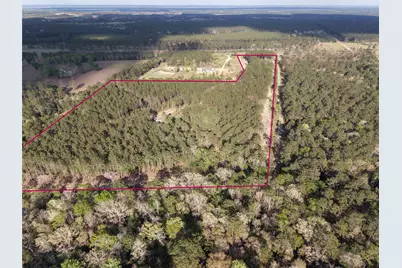 5300 State Highway 150, Coldspring, TX 77331 - Photo 6