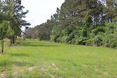 5300 State Highway 150, Coldspring, TX 77331 - Photo 12