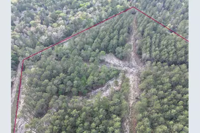 5300 State Highway 150, Coldspring, TX 77331 - Photo 18