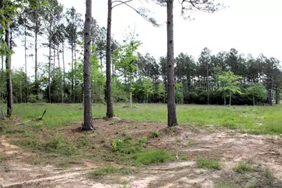 5300 State Highway 150, Coldspring, TX 77331 - Photo 8