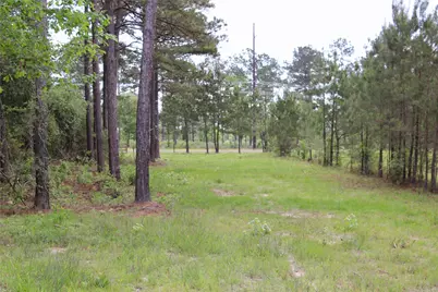5300 State Highway 150, Coldspring, TX 77331 - Photo 10