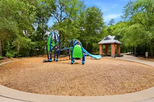 38 Dovewing Pl, The Woodlands, TX 77382 - Photo 36