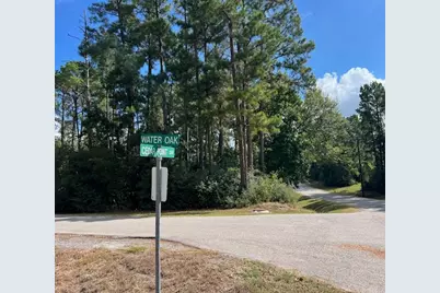 116 Water Oak, Livingston, TX 77351 - Photo 2