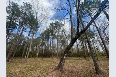 178 Stagecoach Circle, Huntsville, TX 77340 - Photo 6