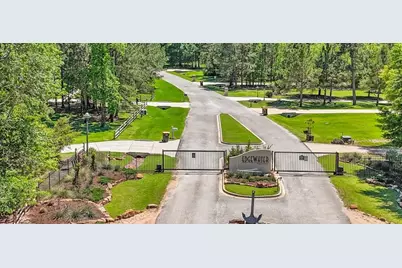 9085 Stone Oak Drive, Montgomery, TX 77316 - Photo 6