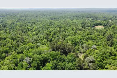 0 Pr 2210, Buffalo, TX 75831 - Photo 6