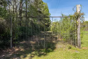 621 Herman Nerren Rd, Huntington, TX 75949 - Photo 8