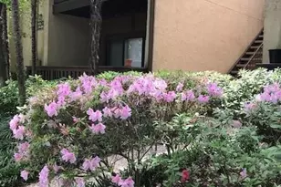 11711 Memorial Dr, Houston, TX 77024 - Photo 10