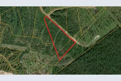 00 Eagle Falls Blvd, Trinity, TX 75862 - Photo 1
