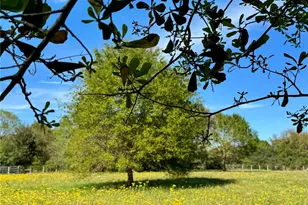 0 Meadow Creek Rd, Hockley, TX 77447 - Photo 1