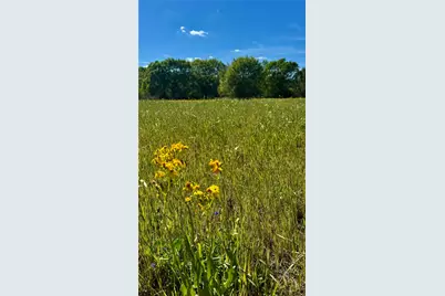 0 Meadow Creek Road, Hockley, TX 77447 - Photo 14