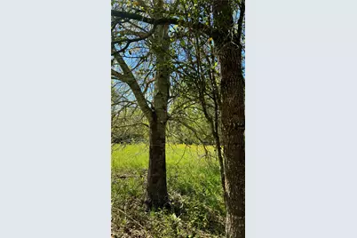 0 Meadow Creek Road, Hockley, TX 77447 - Photo 10