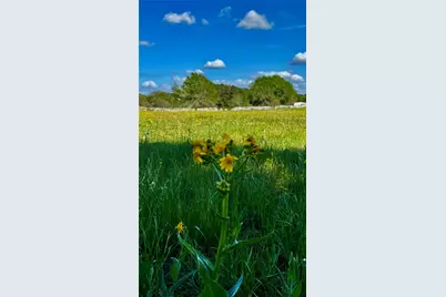 0 Meadow Creek Road, Hockley, TX 77447 - Photo 12