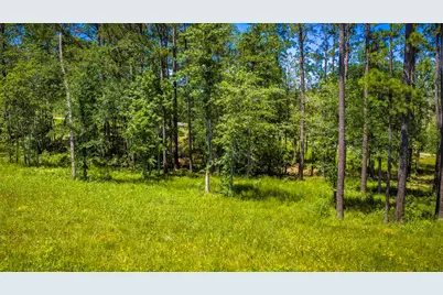 Tbd Lot 15 - Addison Road, Livingston, TX 77351 - Photo 22