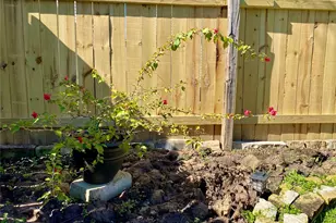 2827 Mustang Hill Ln, Katy, TX 77449 - Photo 36