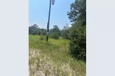 21564 Harrison Drive, Bedias, TX 77831 - Photo 10