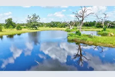 4 Fm 521, Angleton, TX 77515 - Photo 18