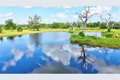 4 Fm 521, Angleton, TX 77515 - Photo 6