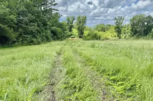 16981 Hwy 146 N, Liberty, TX 77575 - Photo 22