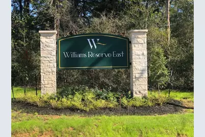 16125 William Ross Way, Conroe, TX 77303 - Photo 16