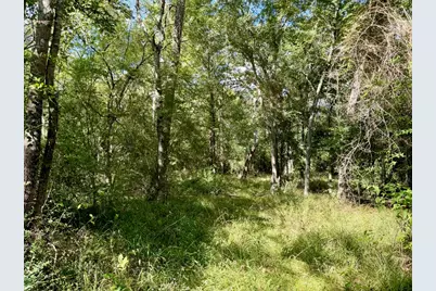 13 Ac Pr 2110, Centerville, TX 75833 - Photo 14