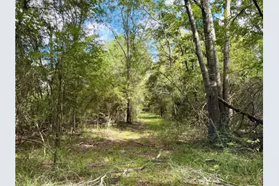 13 Ac Pr 2110, Centerville, TX 75833 - Photo 10