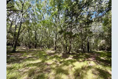 13 Ac Pr 2110, Centerville, TX 75833 - Photo 18