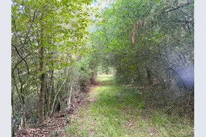 13 Ac Pr 2110, Centerville, TX 75833 - Photo 12