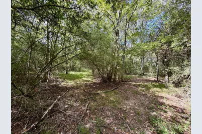 13 Ac Pr 2110, Centerville, TX 75833 - Photo 8