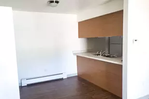 378 S Poplar St Mi, Maple Rapids, MI 48853 - Photo 6