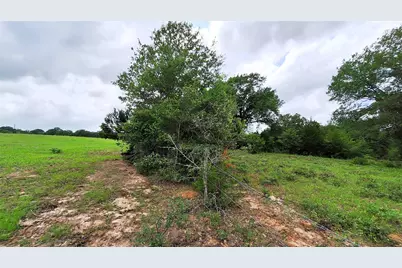 18155 Wellmann Road, Washington, TX 77880 - Photo 8