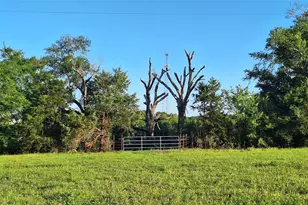 18155 Wellmann Rd, Washington, TX 77880 - Photo 1