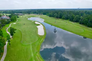 3 Player Vista, The Woodlands, TX 77382 - Photo 44