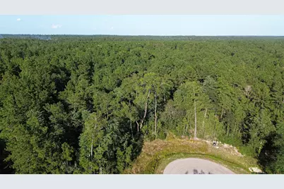 102 Eagle Run Road, Willis, TX 77378 - Photo 10