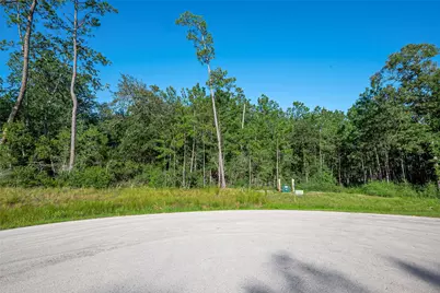 102 Eagle Run Road, Willis, TX 77378 - Photo 8