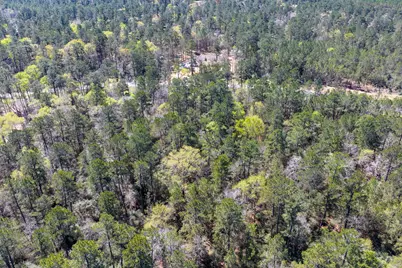 15628 Wood Grove Way, Willis, TX 77378 - Photo 18